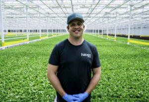 Haven Greens is already transforming the Canadian lettuce industry